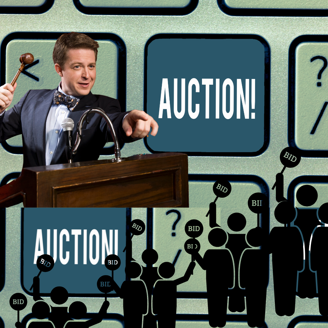 Auctioneers and bidders